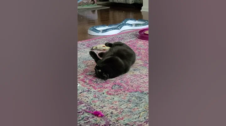 Luna playing