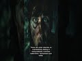 The Most Haunted Forest in the World #shorts