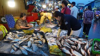 Cambodian Early Morning Fish Market Vs Countryside Food - Plenty Fish & More Countryside Food