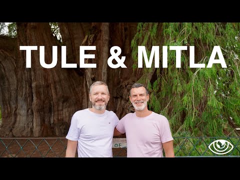 Tule & Mitla (4K) / Mexico Travel Vlog #255 / The Way We Saw It