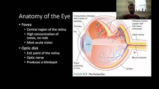 PSY210 CH6PT1 Vision: Basic Structure and Function
