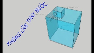 Tự chế Bể cá  cảnh Aquaponics Mini