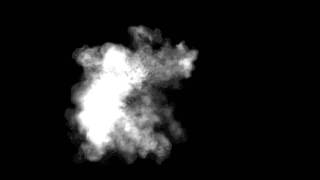 Muzzle flash-Smoke puff elements