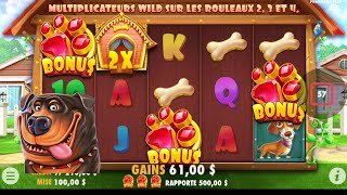 the dog house Bonus win ✔️ casino machine a sous 1xbet part 2 screenshot 2