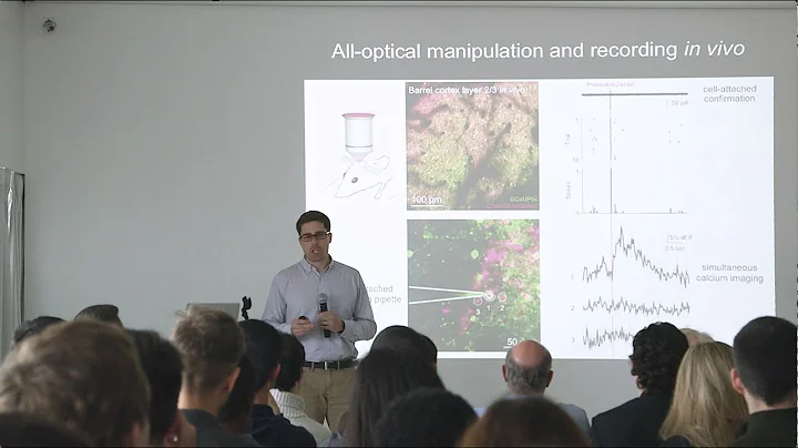 Adam Packer: Reading and Writing Brain Activity Wi...