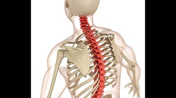 Arthrodesis Shoulder CPT code - simplify medical coding