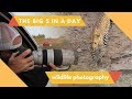 A Day in The Life of a Wildlife Photographer in Africa