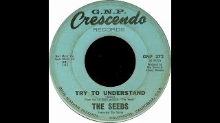 Video thumbnail of "THE SEEDS -  Try To Understand"