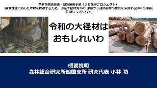 【令和の大径材はおもしれいわ】概要説明