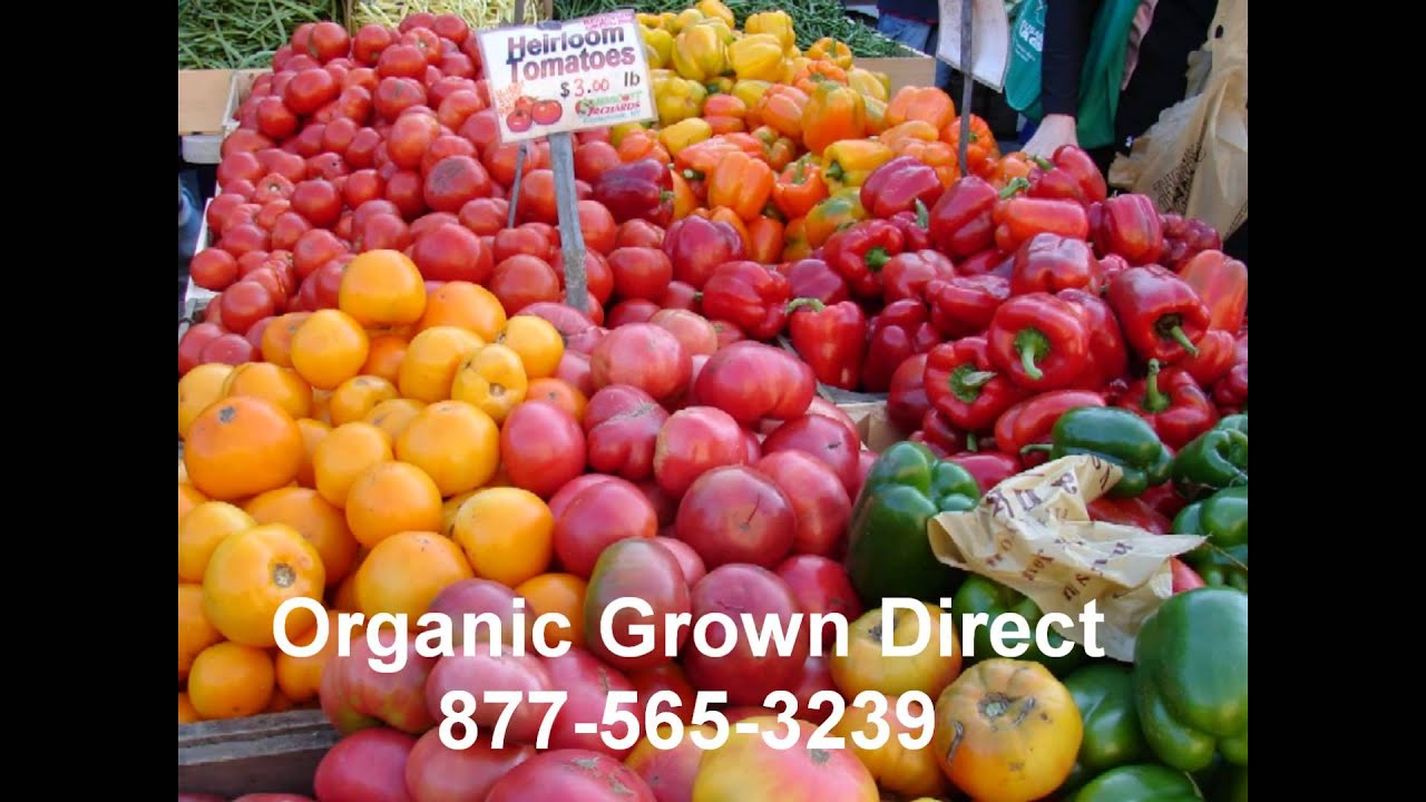 Organic Food Coral Springs Farmers Market 8775653239 YouTube