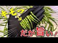 【キモ旨】芋虫みたいな見た目の美味しいタネ