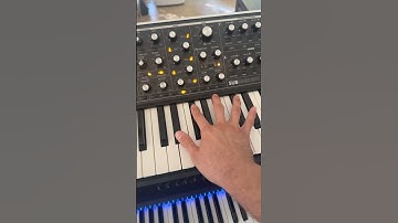 moog sub 37 #synth #edit #moog