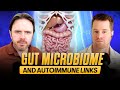 The gut connection how microbiome imbalance triggers autoimmune conditions