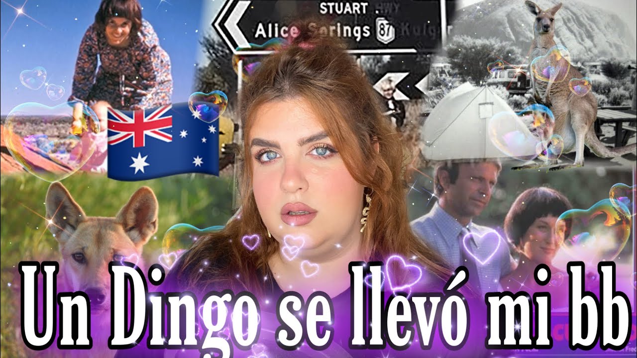 Un Dingo se llevó a mi bb