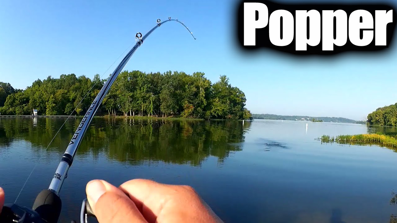 Hot Summer Topwater Fishing For Bass - Popper Fishing From the