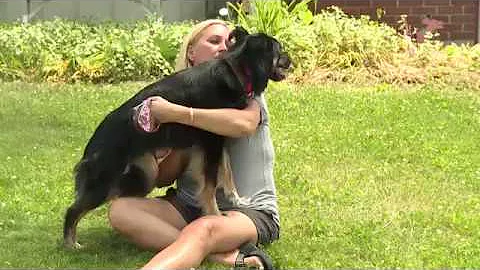 Dog reunited with north side family three years la...