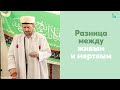 Разница между живым и мертвым