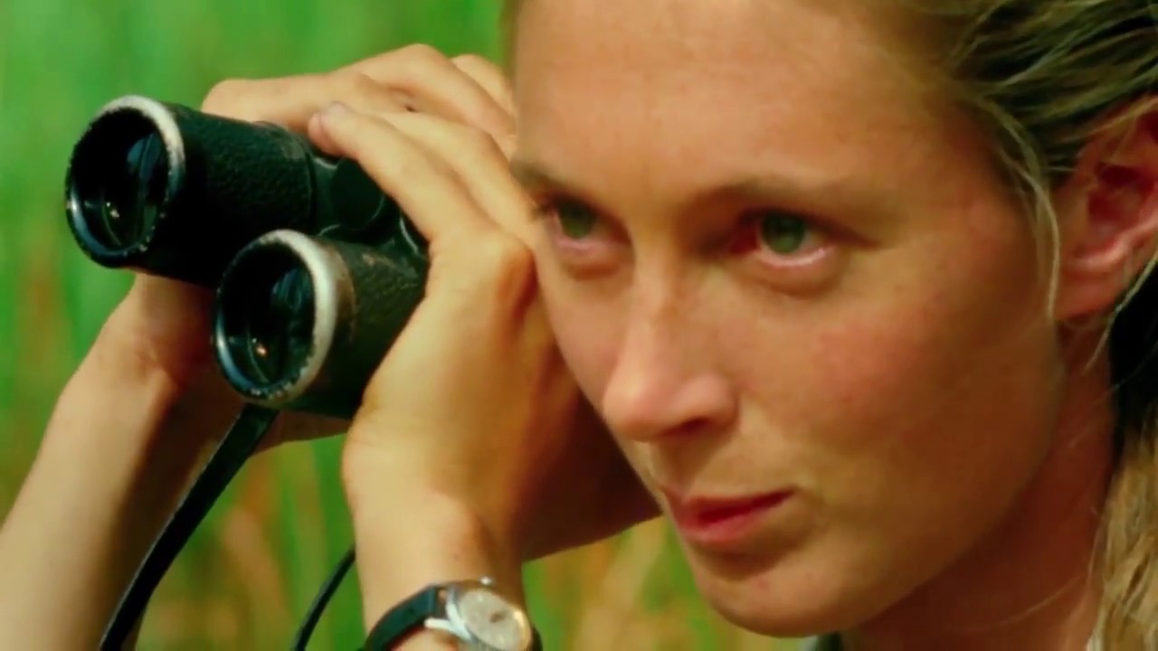 film festival sydney Trailer JANE (Dirigido por Brett Morgen)