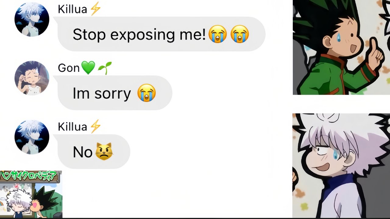 ||Gon exposes some videos in killua’s gallery😺||HxH texting story video||