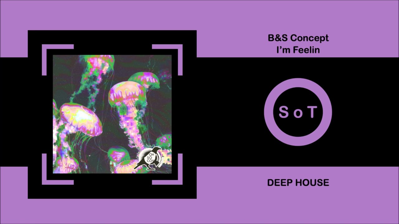 B&S Concept - I'm Feelin (Original Mix) [Deep House] [Oh So Coy Recordings]