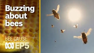 The aspiring apiarists buzzing about bees 🐝🍯 | Bee Cause #5 | ABC Australia