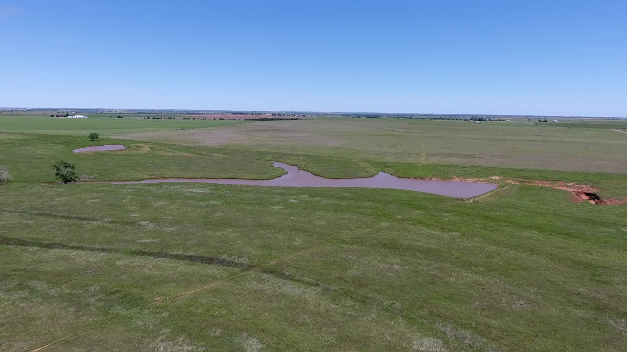 Horn Auction YouTube