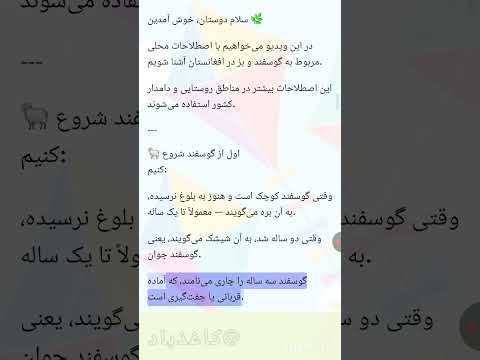 بره میش بزغاله قوچ تکشاد آیا تا به حال فرق این اصطلاحات فکر کردی بره بزغاله غصابی
