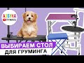 Как выбрать стол для груминга? Для работы, для дома или выставок