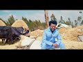 Eskindir Tamiru Hinsarmu Oromo Music