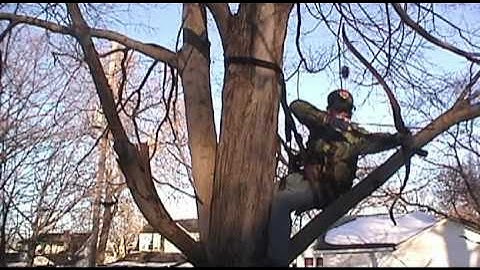 Shooting a recurve out of Guido