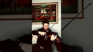 Bon Jovi - Bed of Roses - Violin Cover