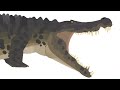 Deinosuchus Test