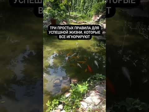 Три простых правила
