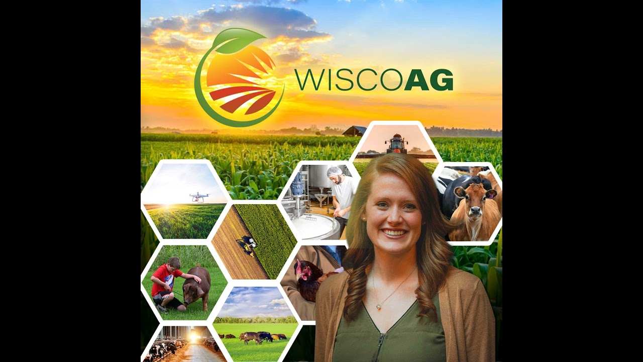 Report: Technology in the hoof trimming industry