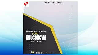 Download Lagu NDAMA JIGUSHILAGA UJUMBE WA BHUGONGWA OFFICIAL AUDIO  MP3