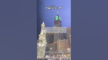 سورة الأنعام ٢٤ #قرآن #قران #quran #اكسبلور #قرآن_كريم #قرأن #قران_كريم