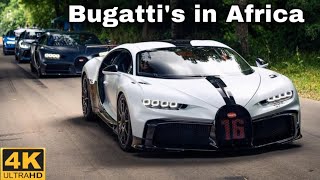 Bugatti Owners in Africa | Who owns a Bugatti in Africa | How many Bugatti’s in Africa | Bugatti SA