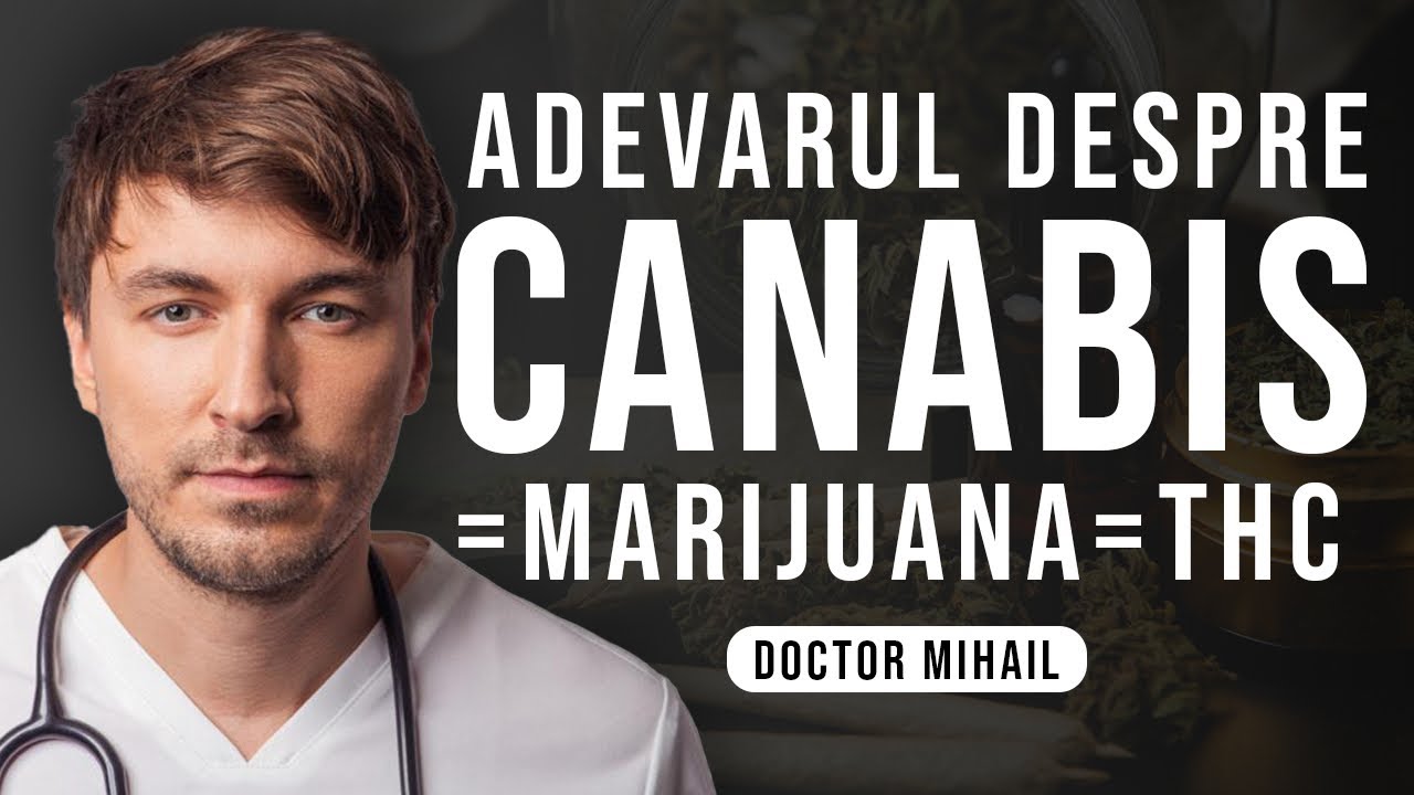 CANABISUL: Efecte, dependență și realitatea medicală