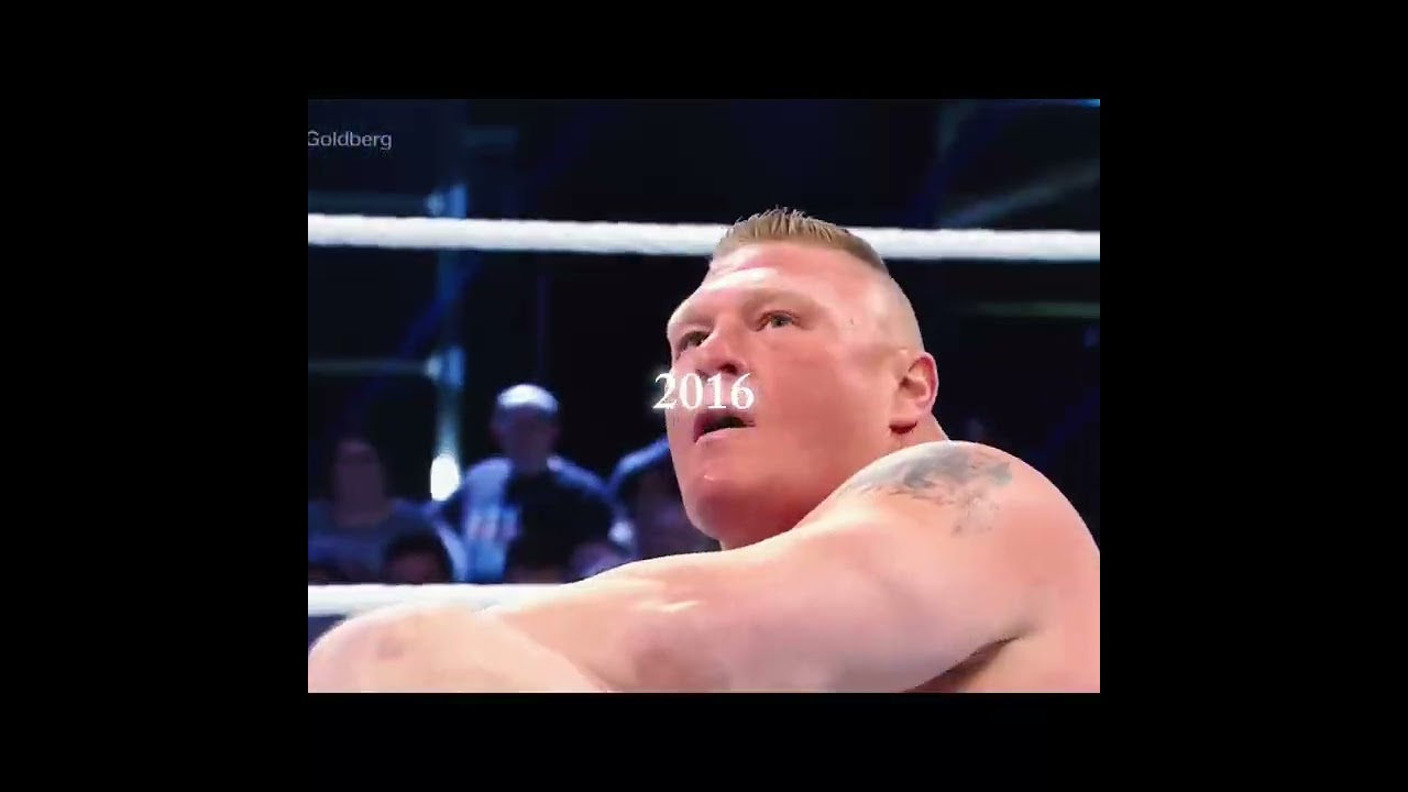 Brock Lesnar and Goldberg ( 2004-2016) 