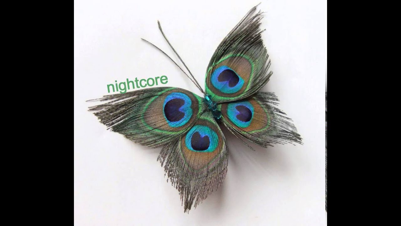 Lola Rae - Watch my ting go