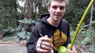 Tutorial do toque de Angola. Tutorial de Berimbau