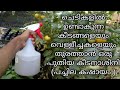 പച്ചില കഷായം | How to make low cost pesticide at home | Make pesticide with leaves at home