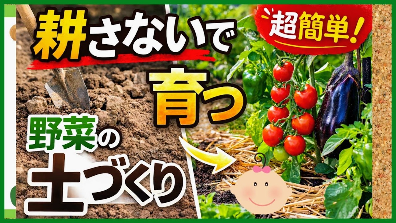 Secret Technique] No tilling required! An amazing cultivation