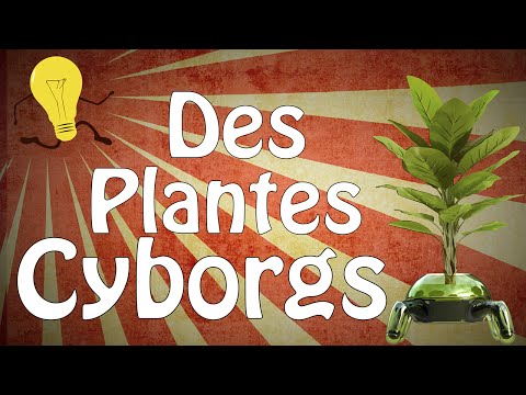 #10 - Des plantes cyborgs