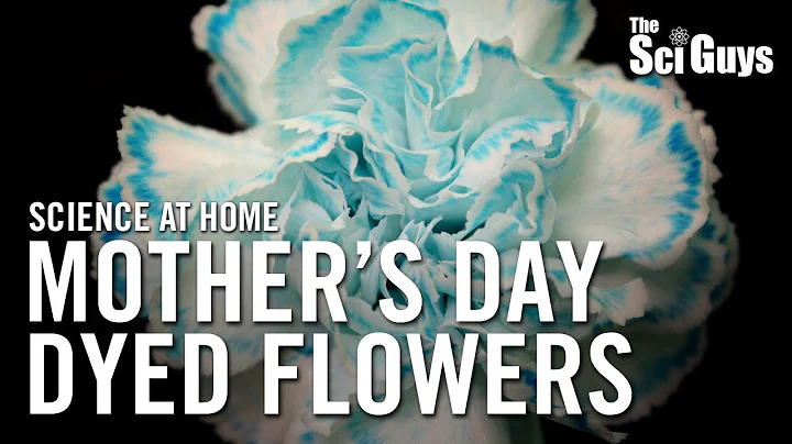 The Sci Guys: Science at Home - SE2 - EP5: Dyed Flowers for Mother's Day - Transpirational Pull