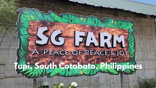 Stress-Free Paradise Walking Tour | The Perfect Mountain Escape