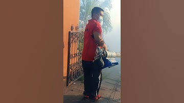 Thumbnail of fogging sarang nyamuk#short