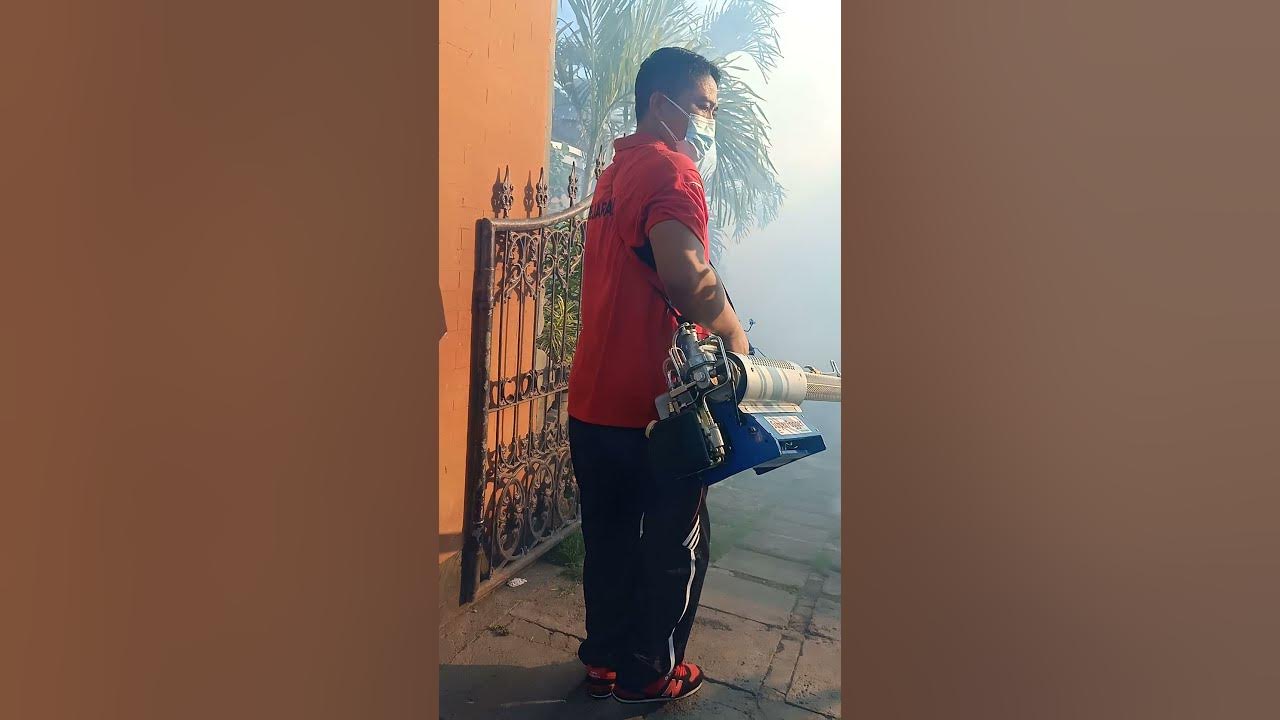 fogging sarang nyamuk#short fogging sarang nyamuk#short