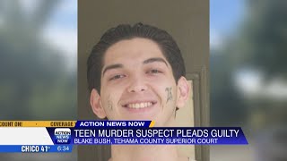 Famous Blake Bush pleads guilty to second-degree murder in shooting death of 16-year-old Domingo Carillo in Wealth