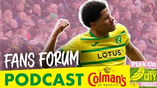 #588 Fans' Parliament | Thoughts heading into the final day | PinkUn Norwich City Podcast